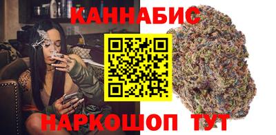 амф Гатчина