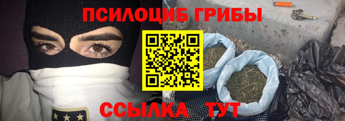 Галлюциногенные грибы Psilocybine cubensis Берёзовский