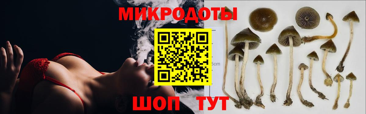 Галлюциногенные грибы MAGIC MUSHROOMS  Псилоцибиновые грибы MAGIC MUSHROOMS  Вход с VPN  Берёзовский 